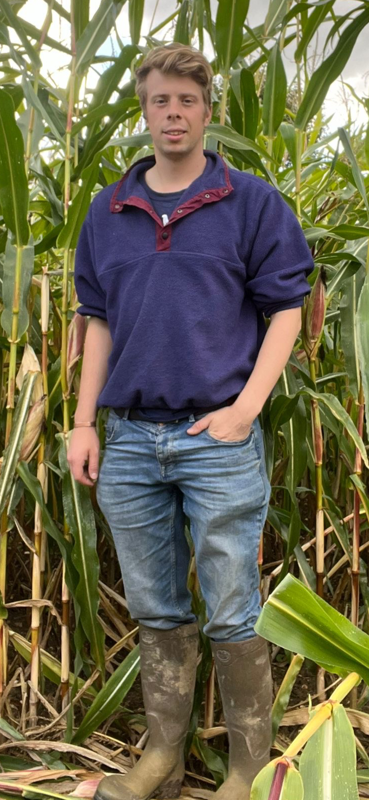 Harry Petfield Cropped